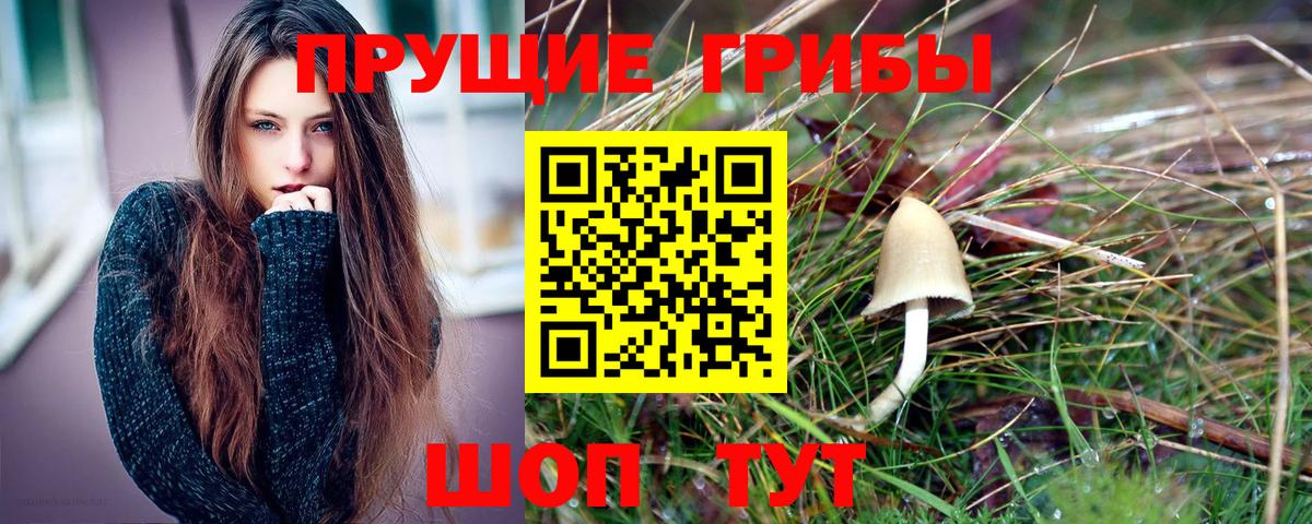 Псилоцибиновые грибы ЛСД Нефтекумск