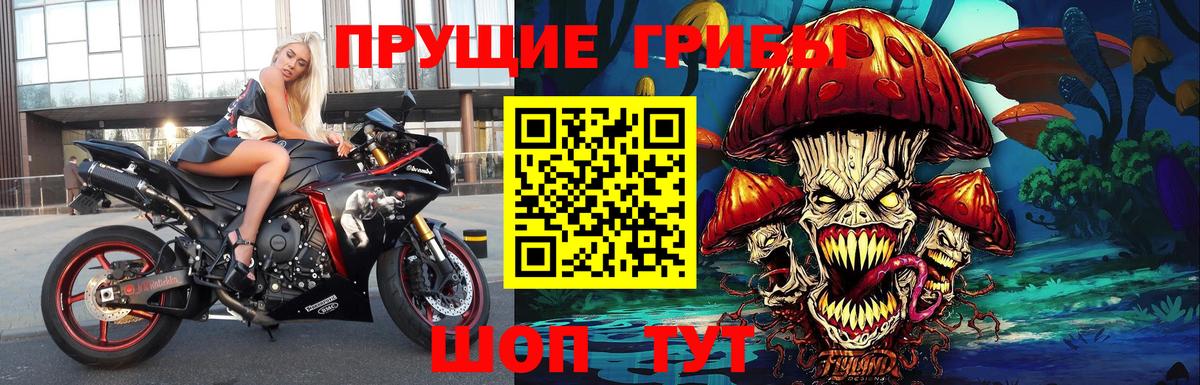 Псилоцибиновые грибы Psilocybe  Вход с VPN  Псилоцибиновые грибы ЛСД  Нефтекумск 